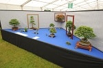 AFS 2016 07.JPG